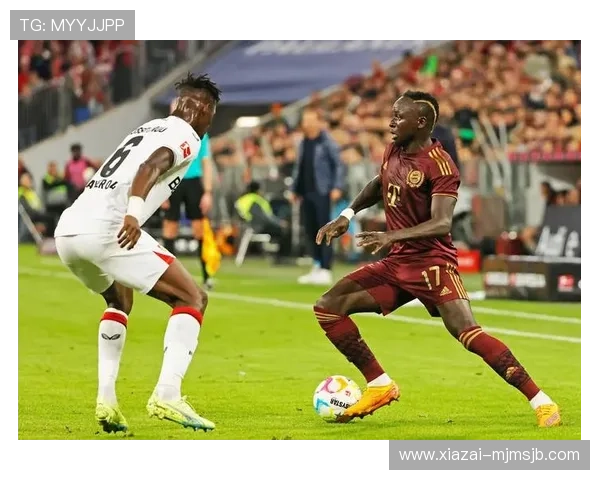 卡塔尔世界杯足球宝贝的成长历程与职业发展路径探讨